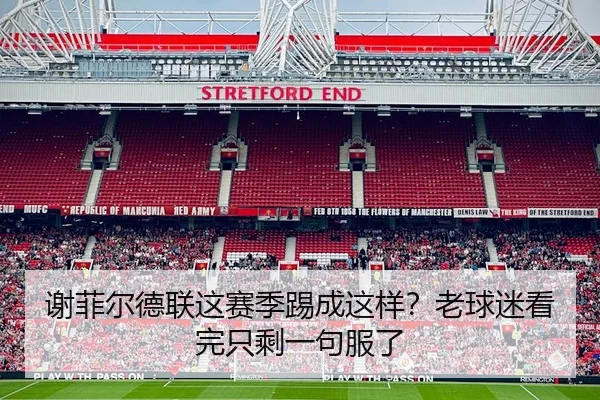 谢菲尔德联这赛季踢成这样？老球迷看完只剩一句服了