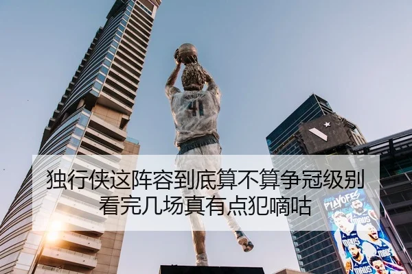 独行侠这阵容到底算不算争冠级别 看完几场真有点犯嘀咕