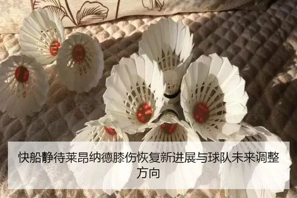 快船静待莱昂纳德膝伤恢复新进展与球队未来调整方向