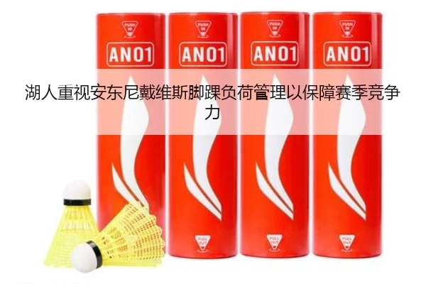湖人重视安东尼戴维斯脚踝负荷管理以保障赛季竞争力